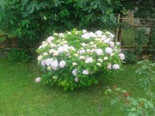 Апартаменты Apartman Donji Kraj Цетине Апартаменты с 1 спальней-19