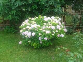 Апартаменты Apartman Donji Kraj Цетине Апартаменты с 1 спальней-87