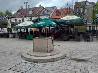 Апартаменты Apartman Donji Kraj Цетине Апартаменты с 1 спальней-93